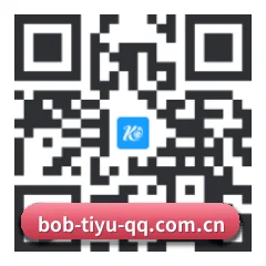 Apple 移动终端版 二维码